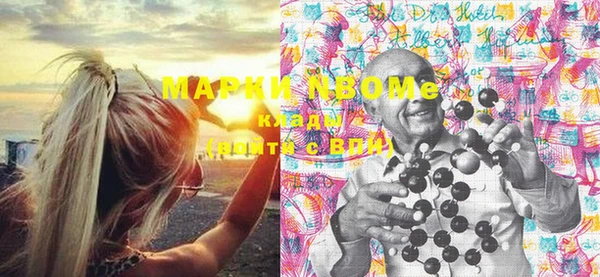прущие грибы Наволоки