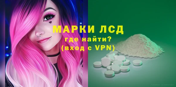 ECSTASY Ельня