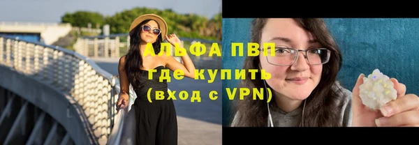 ECSTASY Белая Холуница