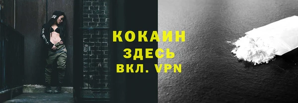 прущие крисы Новозыбков