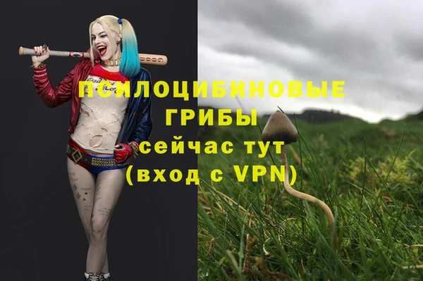ECSTASY Нефтекумск