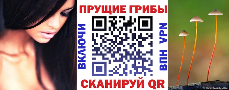 Псилоцибиновые грибы прущие грибы  Менделеевск 