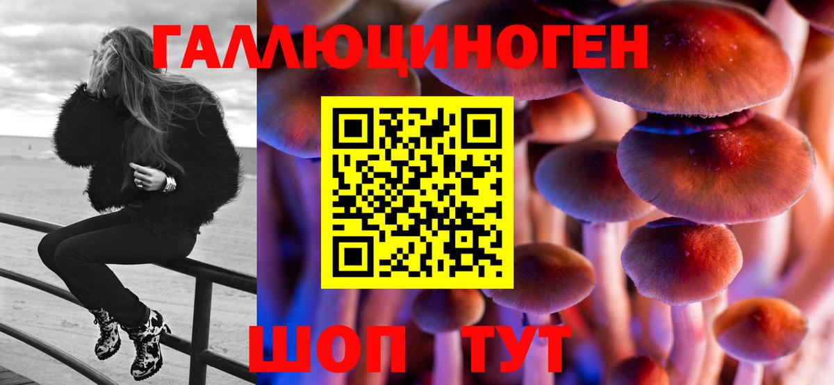 Галлюциногенные грибы Psilocybe Менделеевск