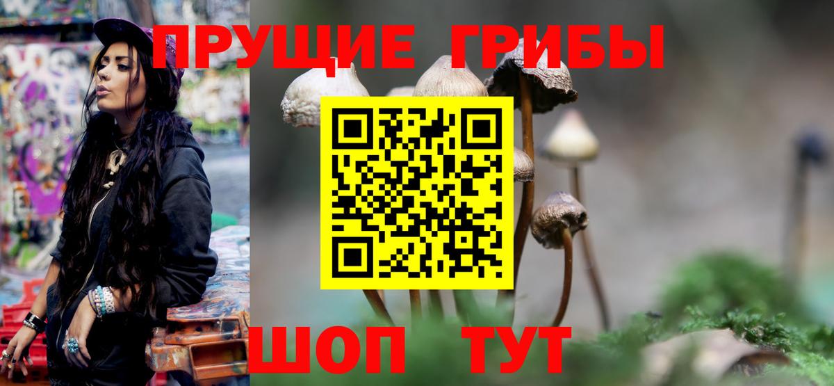 Галлюциногенные грибы GOLDEN TEACHER Менделеевск